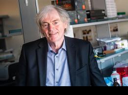 Dr. Pieter Cullis