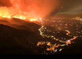 wildfire