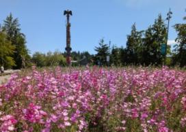 Campus and Community Planning